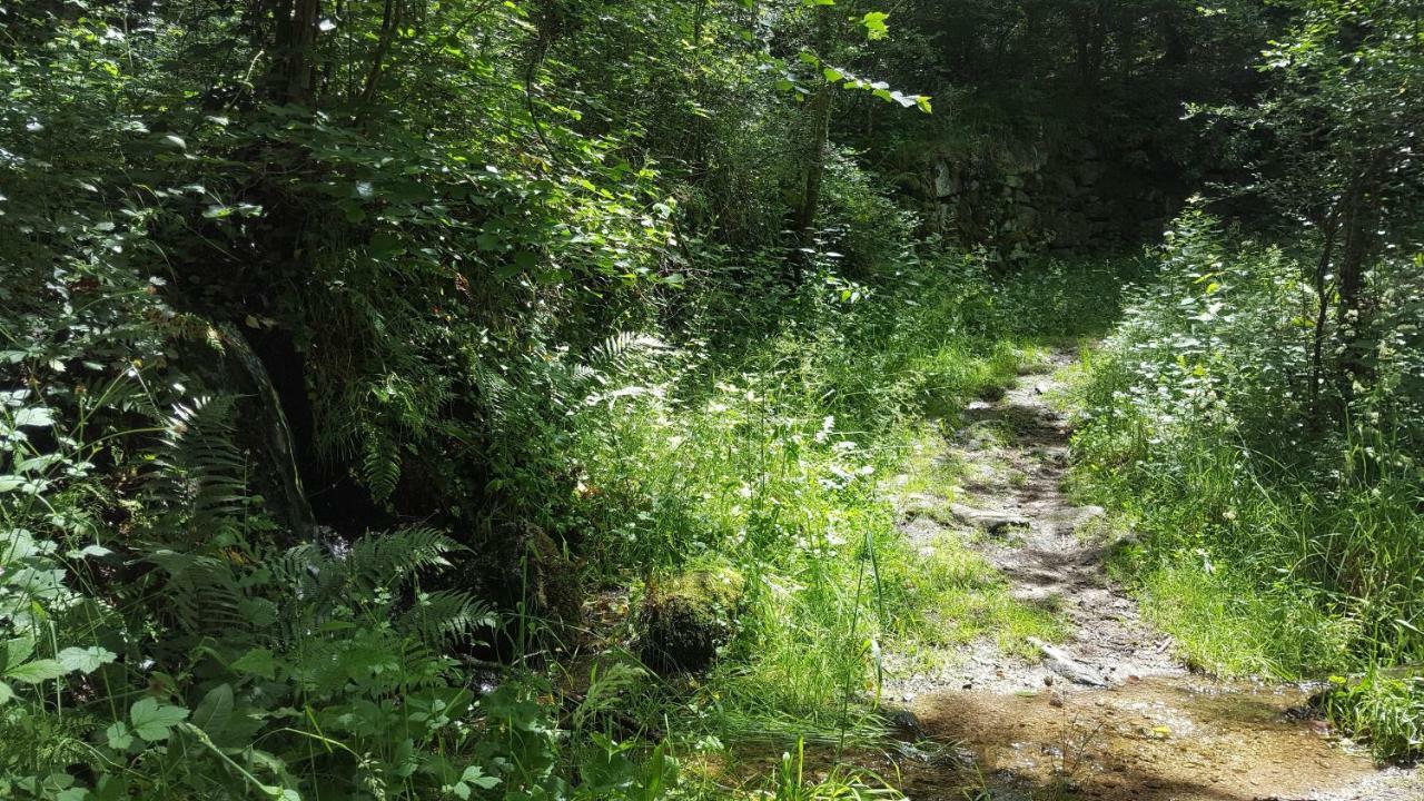 gite de Montager Saint André de Chalencon Exterior foto